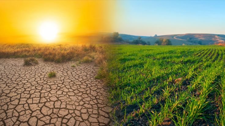 Climate-smart agriculture