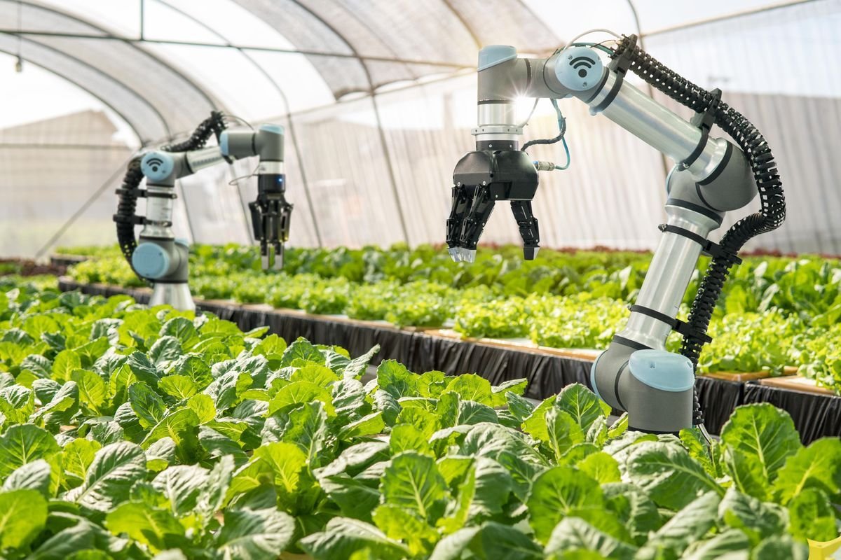 Green innovation