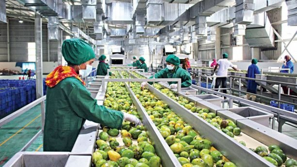 Agribusiness and entrepreneurship
