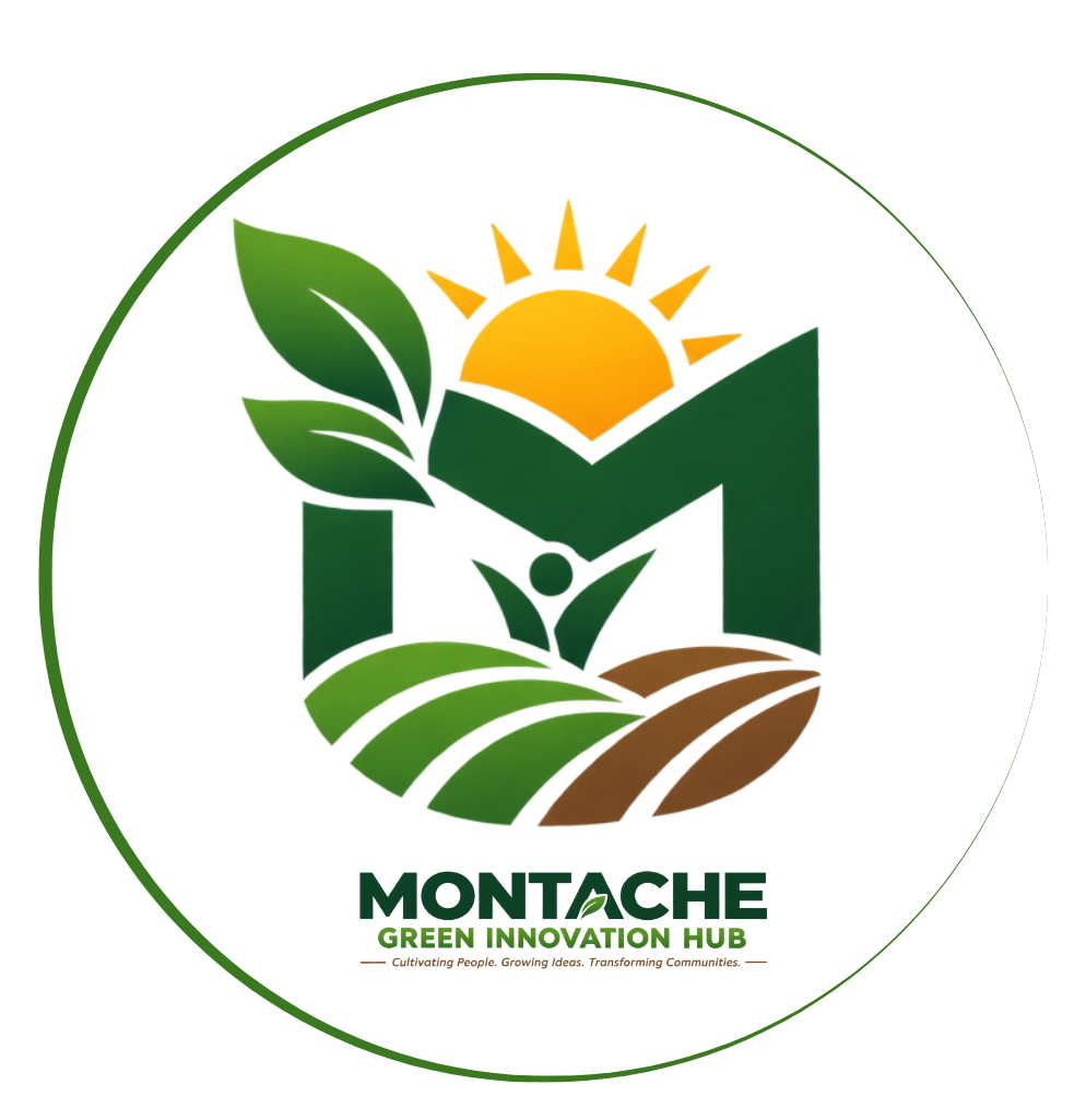 The MontAche team and community on site